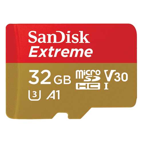 Карта памяти SanDisk Micro SDHC 32GB в Благо