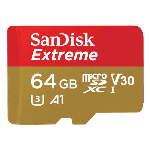 Карта памяти SanDisk Micro SDXC Extreme SDSQXAF-064G-GN6AA 64GB в Благо