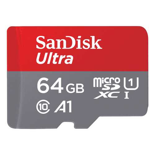 Карта памяти SanDisk Micro SDXC SDSQUAR-064G-GN6MA 64GB в Благо
