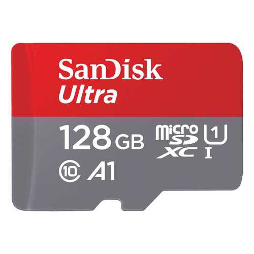 Карта памяти SanDisk Micro SDXC SDSQUAR-128G-GN6MA 128GB в Благо