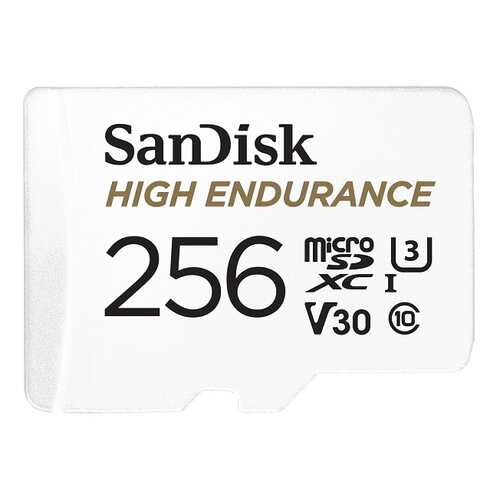 Карта памяти SanDisk microSDXC Class 10 UHS-I U3 V30 High Endurance Video Monitoring Card в Благо