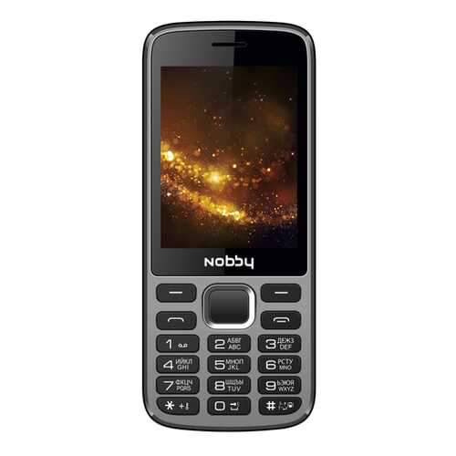 Мобильный телефон Nobby 300 Black/Grey в Благо